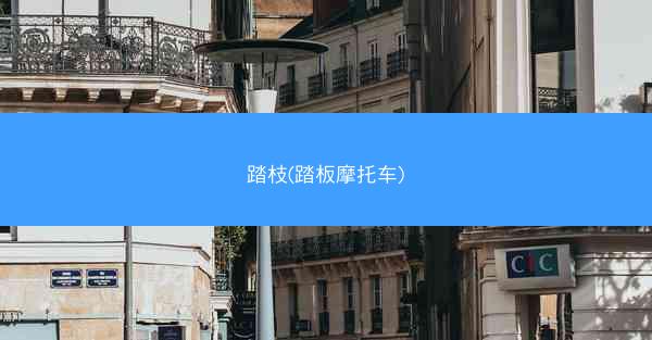 踏枝(踏板摩托车)