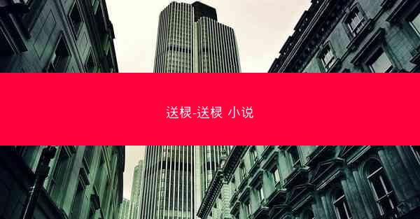 送棂-送棂 小说