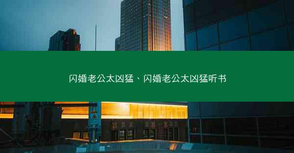 闪婚老公太凶猛、闪婚老公太凶猛听书