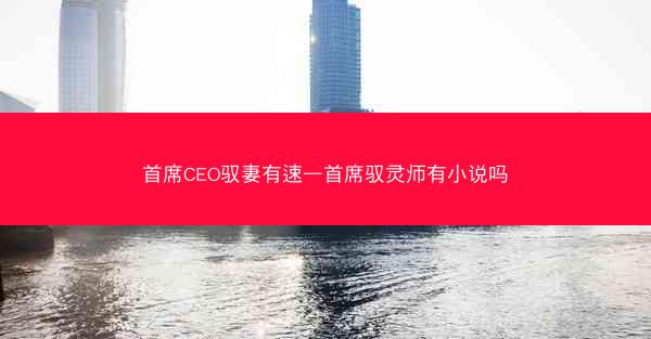 首席CEO驭妻有速—首席驭灵师有小说吗