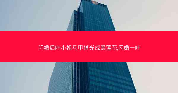 闪婚后叶小姐马甲掉光成黑莲花;闪婚一叶