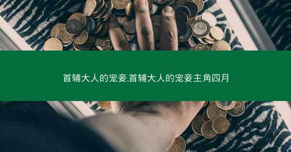 首辅大人的宠妾,首辅大人的宠妾主角四月 首辅大人的宠妾,首辅大人的宠妾主角四月