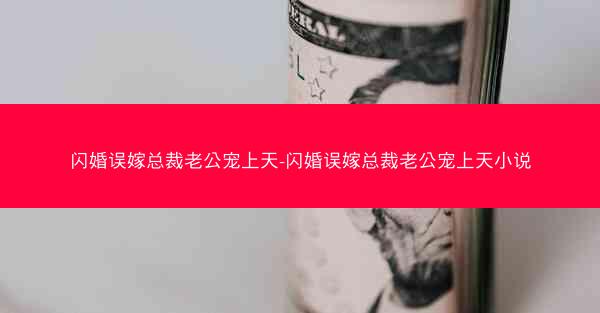 闪婚误嫁总裁老公宠上天-闪婚误嫁总裁老公宠上天小说
