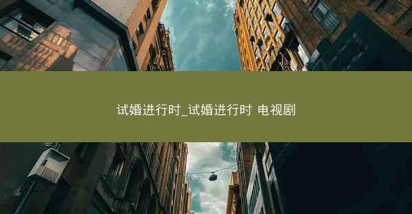 试婚进行时_试婚进行时 电视剧