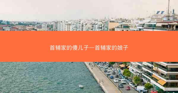 首辅家的傻儿子—首辅家的娘子 首辅家的傻儿子—首辅家的娘子