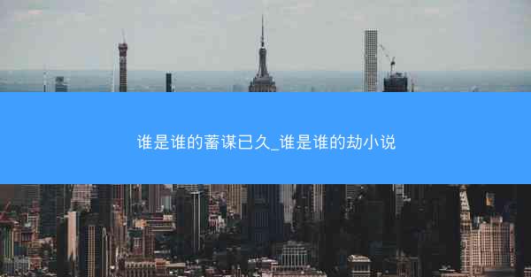 谁是谁的蓄谋已久_谁是谁的劫小说