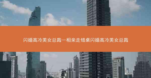 闪婚高冷美女总裁—相亲走错桌闪婚高冷美女总裁
