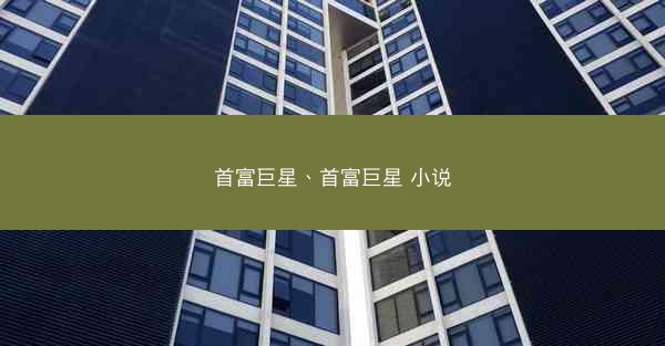 首富巨星、首富巨星 小说