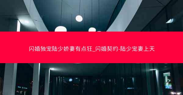 闪婚独宠陆少娇妻有点狂_闪婚契约-陆少宠妻上天