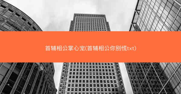 首辅相公掌心宠(首辅相公你别慌txt)