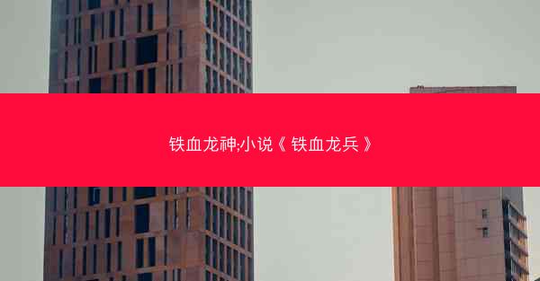铁血龙神;小说《铁血龙兵》