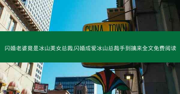 闪婚老婆竟是冰山美女总裁,闪婚成爱冰山总裁手到擒来全文免费阅读