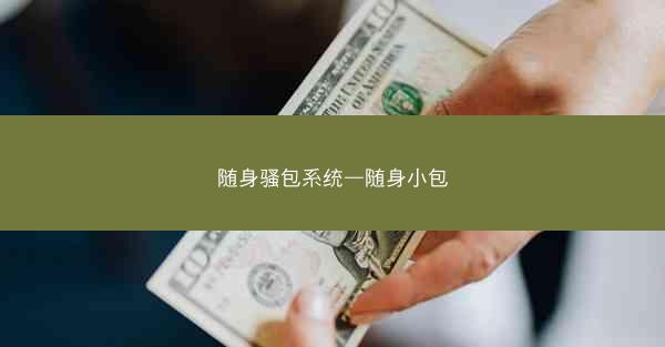 随身骚包系统—随身小包