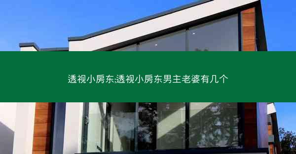 透视小房东;透视小房东男主老婆有几个