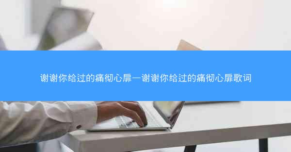 谢谢你给过的痛彻心扉—谢谢你给过的痛彻心扉歌词