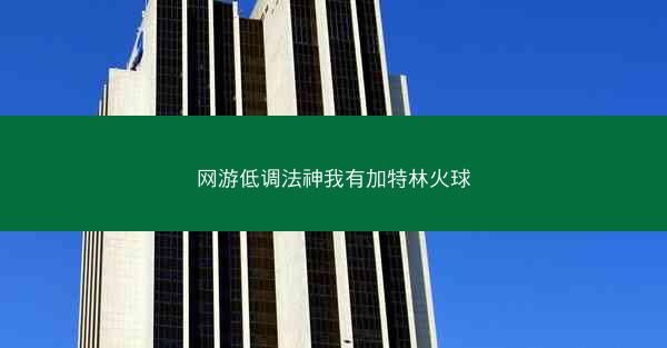网游低调法神我有加特林火球