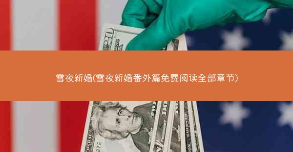 雪夜新婚(雪夜新婚番外篇免费阅读全部章节)