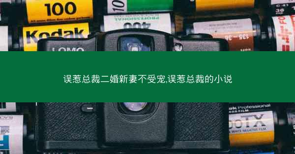 误惹总裁二婚新妻不受宠,误惹总裁的小说