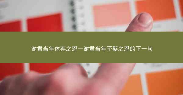 谢君当年休弃之恩—谢君当年不娶之恩的下一句