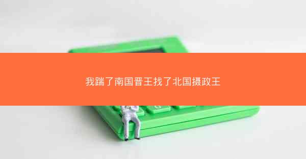 我踹了南国晋王找了北国摄政王