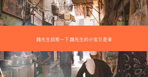 魏先生招惹一下,魏先生的小宝贝是谁
