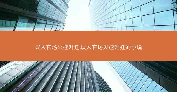 误入官场火速升迁,误入官场火速升迁的小说