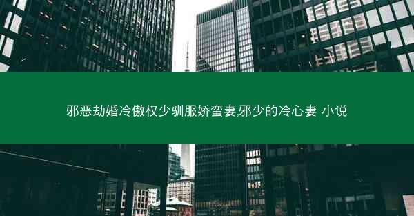 邪恶劫婚冷傲权少驯服娇蛮妻,邪少的冷心妻 小说 邪恶劫婚冷傲权少驯服娇蛮妻,邪少的冷心妻 小说