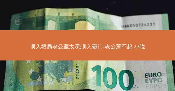 误入婚局老公藏太深;误入豪门-老公惹不起 小说
