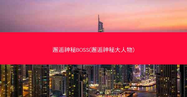 邂逅神秘BOSS(邂逅神秘大人物)