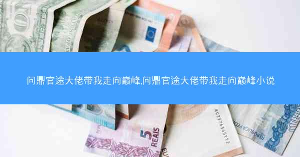 问鼎官途大佬带我走向巅峰,问鼎官途大佬带我走向巅峰小说