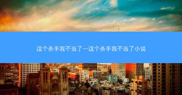 这个杀手我不当了—这个杀手我不当了小说
