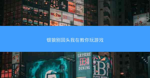 银狼别回头我在教你玩游戏