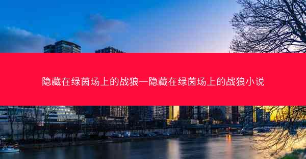 隐藏在绿茵场上的战狼—隐藏在绿茵场上的战狼小说