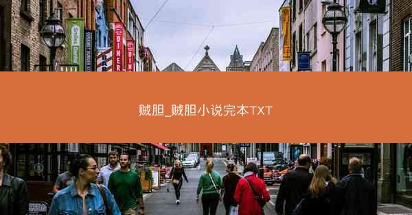 贼胆_贼胆小说完本TXT