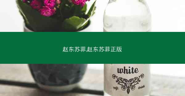 赵东苏菲,赵东苏菲正版