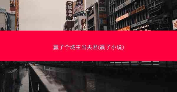 赢了个城主当夫君(赢了小说)