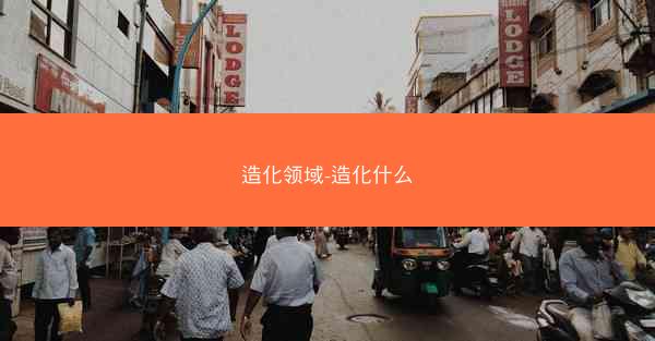 造化领域-造化什么