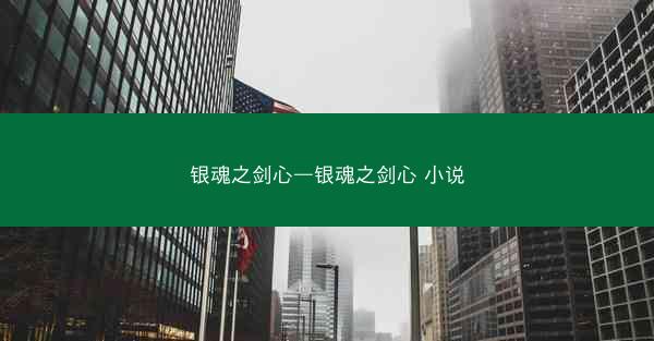 银魂之剑心—银魂之剑心 小说