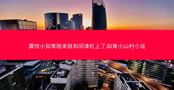 震惊小知青刚来就和间谍杠上了;知青小山村小说