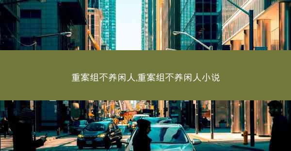 重案组不养闲人,重案组不养闲人小说