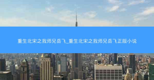重生北宋之我师兄岳飞_重生北宋之我师兄岳飞正版小说
