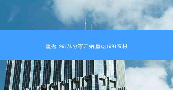 重返1991从分家开始;重返1991农村
