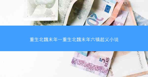 重生北魏末年—重生北魏末年六镇起义小说