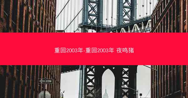 重回2003年-重回2003年 夜鸣猪