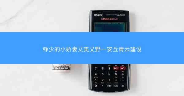 铮少的小娇妻又美又野—安丘青云建设
