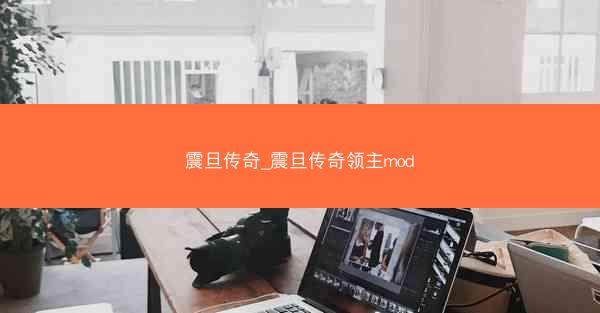 震旦传奇_震旦传奇领主mod