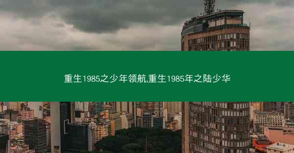 重生1985之少年领航,重生1985年之陆少华
