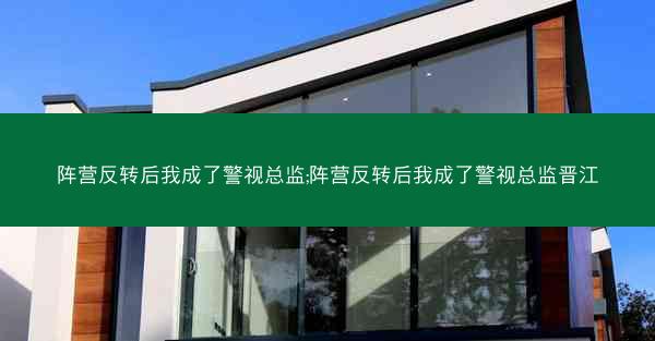 阵营反转后我成了警视总监;阵营反转后我成了警视总监晋江
