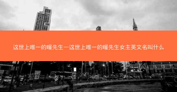 这世上唯一的暖先生—这世上唯一的暖先生女主英文名叫什么