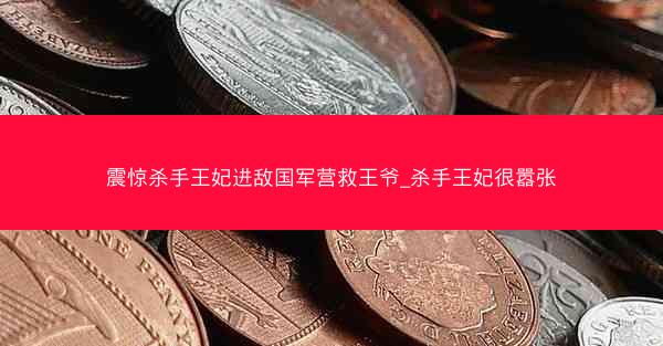 震惊杀手王妃进敌国军营救王爷_杀手王妃很嚣张